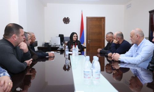 ԿԳՄՍ նախարարի տեղակալ Հասմիկ Ավագյանը մարզադպրոցների տնօրենների հետ քննարկել է ոլորտային հարցեր