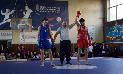 Կայացել է ուշուի Հայաստանի առաջնությունը (արդյունքներ)